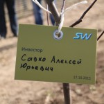 акция skyway посади дерево скайвей 22