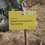 акция skyway посади дерево скайвей 31