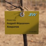 акция skyway посади дерево скайвей 32