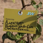 акция skyway посади дерево скайвей 38
