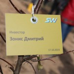 акция skyway посади дерево скайвей 54