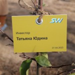 акция skyway посади дерево скайвей 55