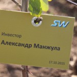 акция skyway посади дерево скайвей 59