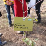 акция skyway посади дерево скайвей 82