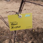 акция skyway посади дерево скайвей 84