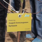 акция skyway посади дерево скайвей 89