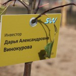 акция skyway посади дерево скайвей 91