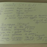 SkyWay отзывы
