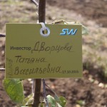 акция skyway посади дерево скайвей 15