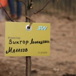 акция skyway посади дерево скайвей 19