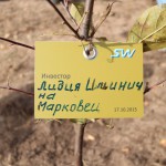 акция skyway посади дерево скайвей 25