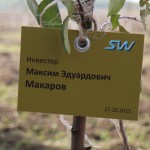 акция skyway посади дерево скайвей 30