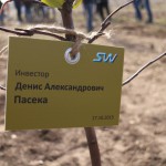 акция skyway посади дерево скайвей 45