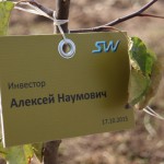 акция skyway посади дерево скайвей 56