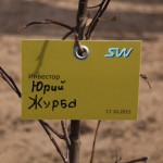 акция skyway посади дерево скайвей 60