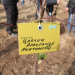 акция skyway посади дерево скайвей 65