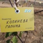 акция skyway посади дерево скайвей 67