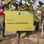 акция skyway посади дерево скайвей 87