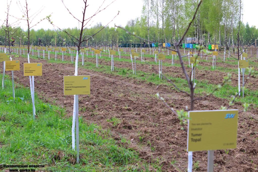 2500 деревьев посаженных частными инвесторами в Экотехнопарке.